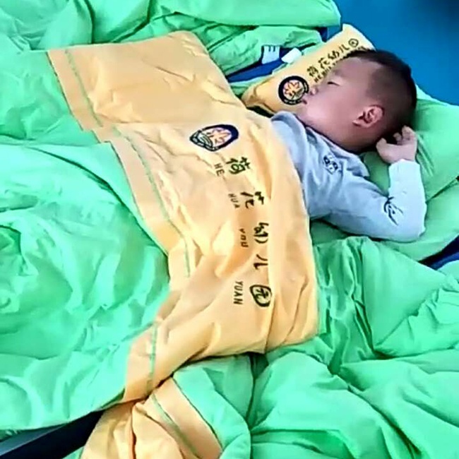 案例二 荷花幼兒園圖片